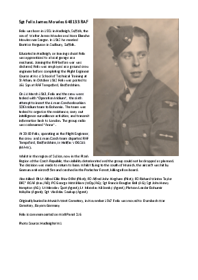 A preview of a PDF biography for Mowles, Felix James